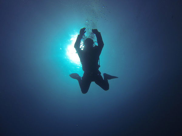 Татьяна Вашина