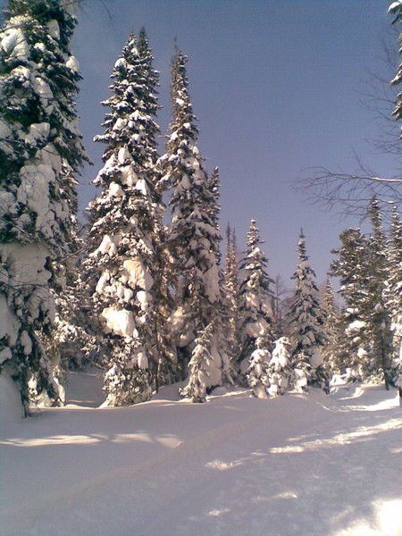 Ирина Гладышенко