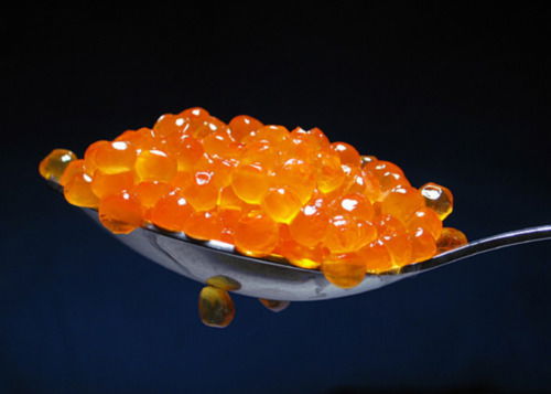 Екатерина Заграй