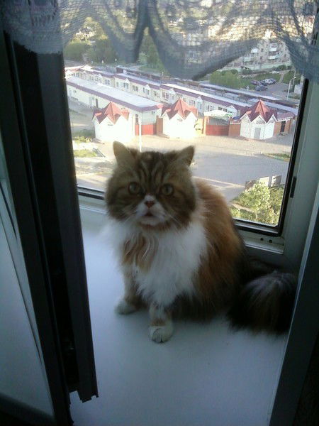 Элайза Хренова