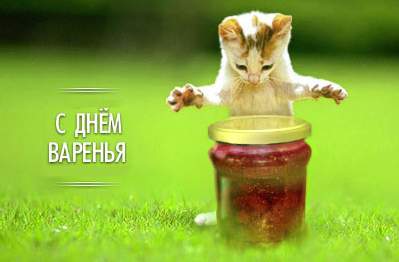 Александр Рожко