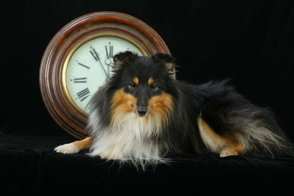 Евгения Литвиненко