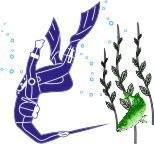 Федерация Рыболовства