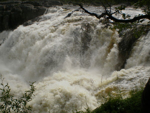 Елена Стромило