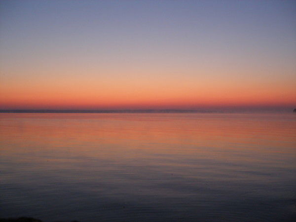 Лариса Назарук