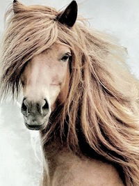 Мария Ищенко