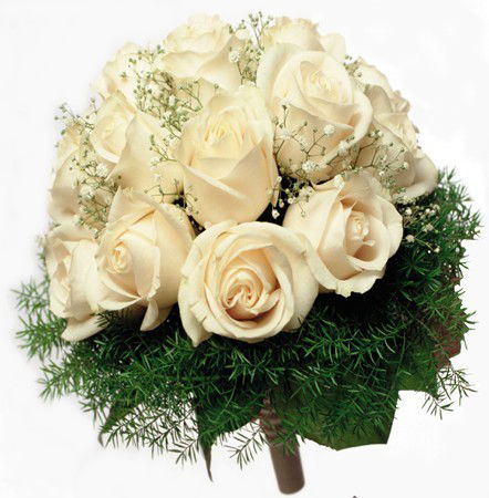 Ильсина Халикова