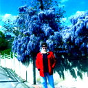 Елена Милова