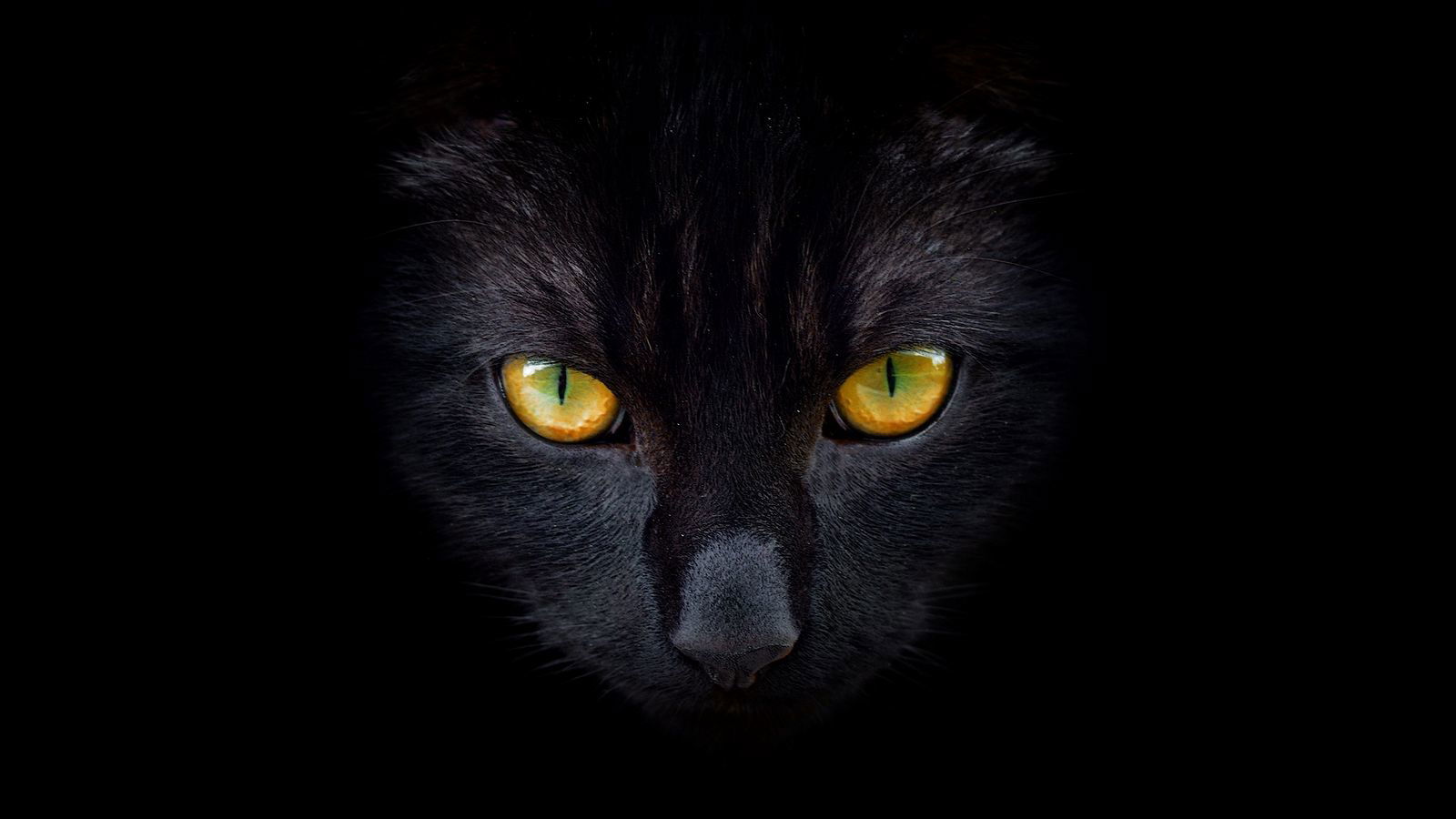 Евгений Лагутиков