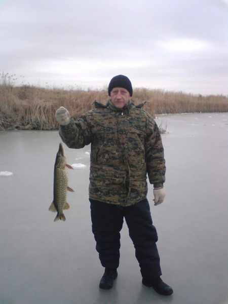 Владимир Скобелев