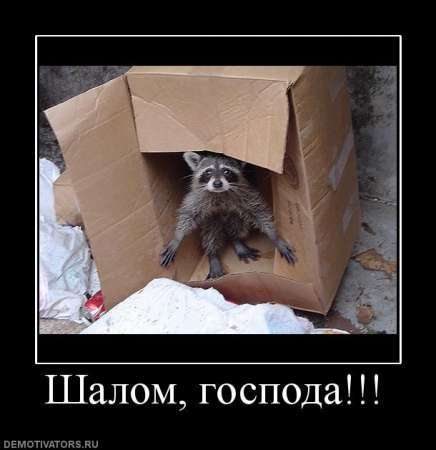 Сергей Арешин