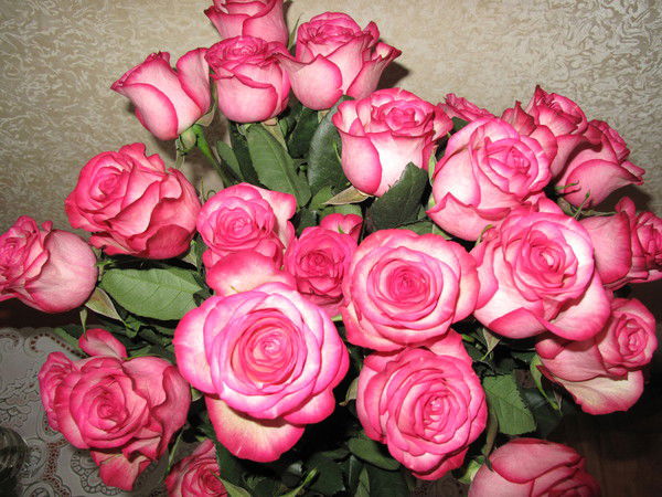 Людмила Завгородняя