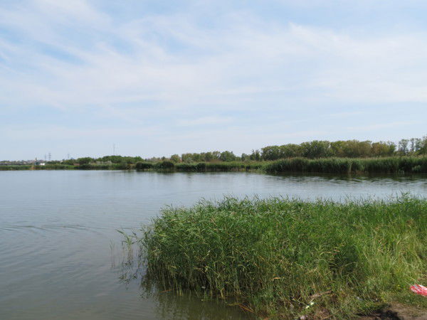 Наталья Гусева