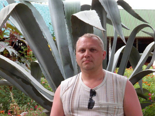 Александр Дружинин