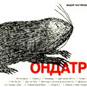 Ондатр Поворачивается