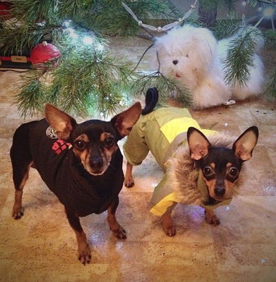 Карина Щурина