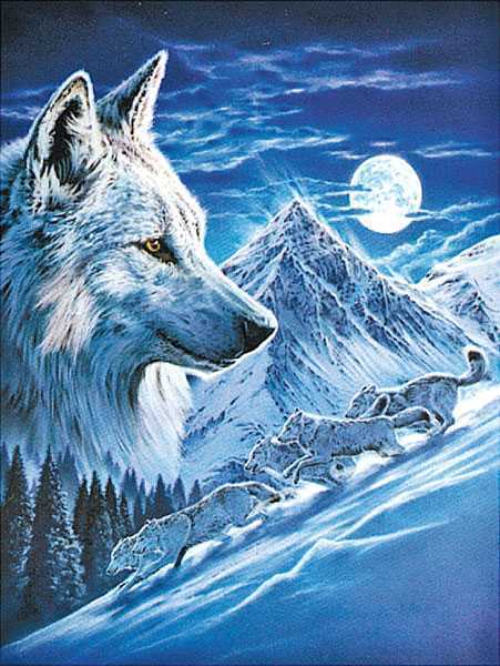 Нишка Загнибеда