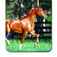 Гузель Лотфуллина