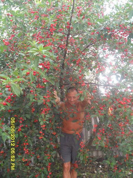 Александр Жуков