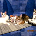 Владимир Вальвачев