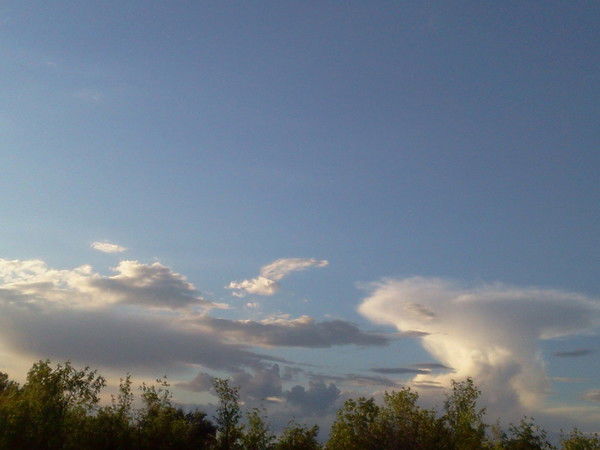 Анастасия Юфина