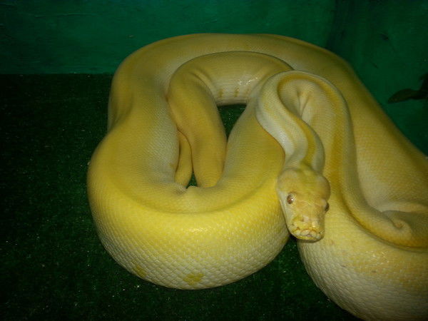 Геннадий Незаметдинов