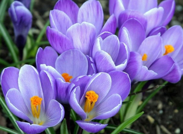 Айнаш Тажибаева