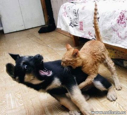 Михаил Апсатар