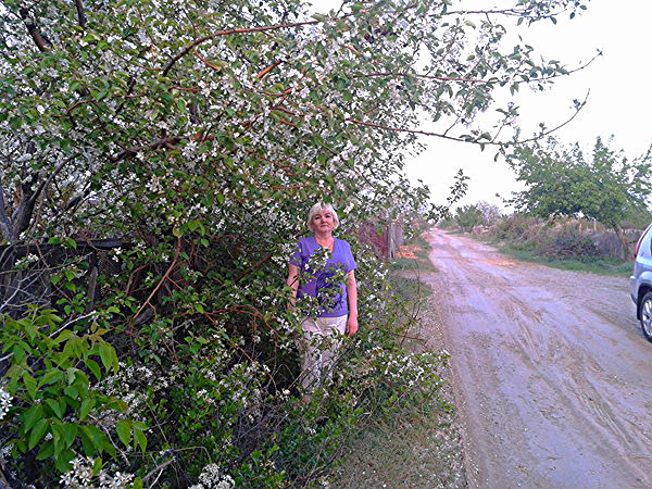 Римма Драчева