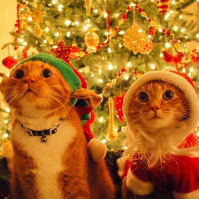 Аскар Райманов