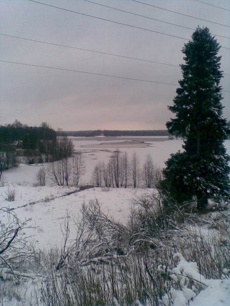 Ольга Бахтина