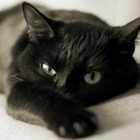 Александра Портнова