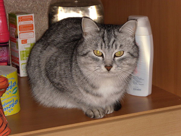 Олег Валиулин