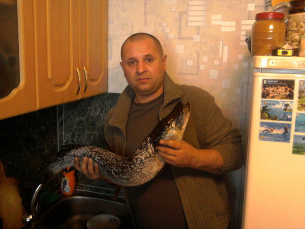 Сергей Ткаченко