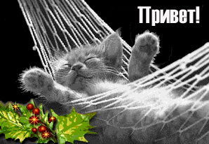 Светлана Калачёва