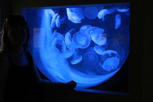 Павел Майоров