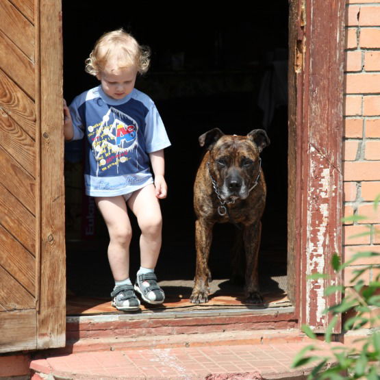 Евгений Альбовский