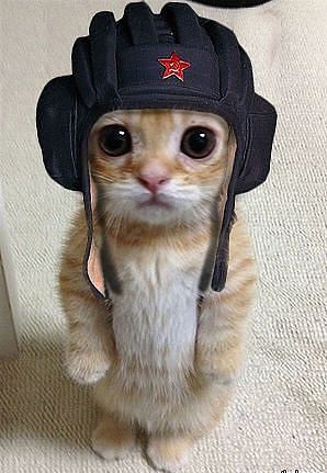 Александр Сырбу