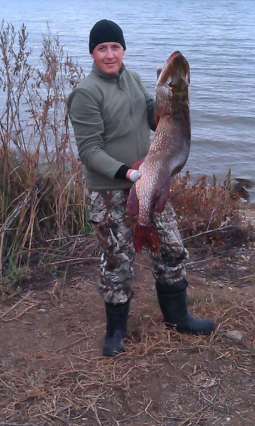 Алексей Холковский