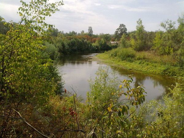 Кирилл Злотников