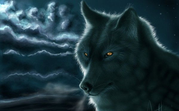 Никита Михеенко