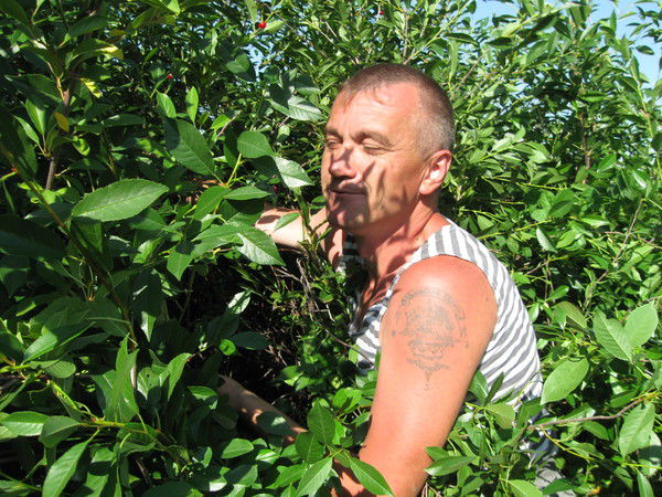 Андрей Новоселов