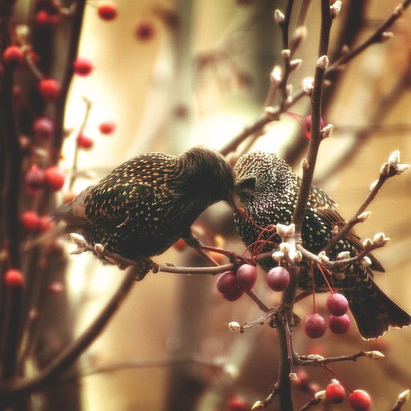 Валентина Тарасова