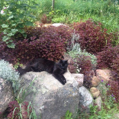 Татьяна Ефимова