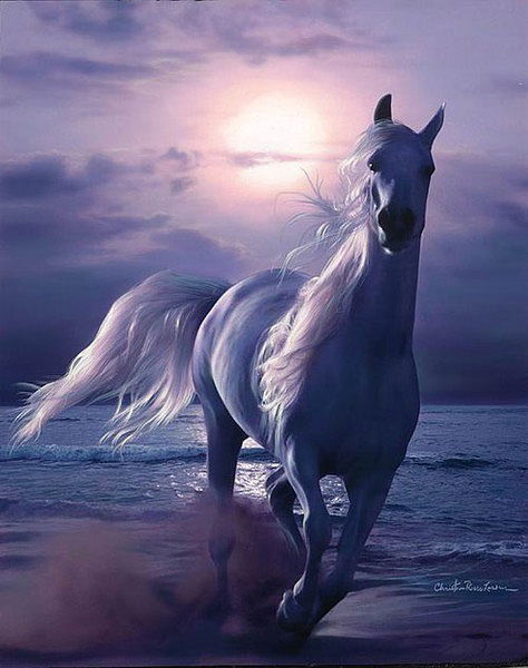 Марина Кравец