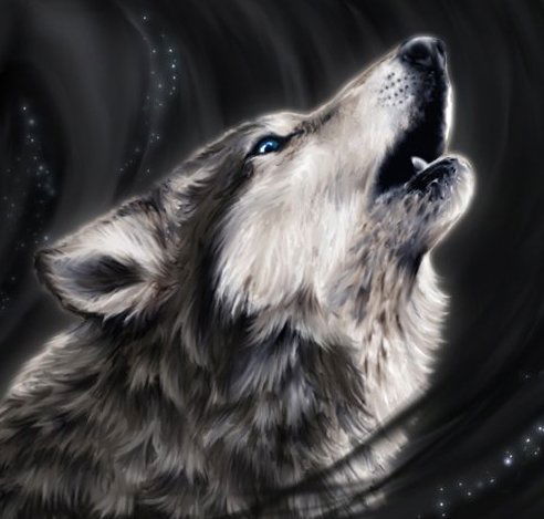 Чингиз Сарлов