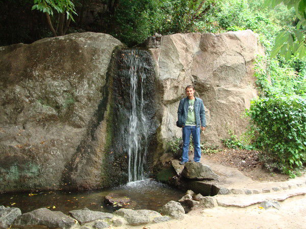 Макс Фоменко