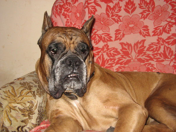 Сергей Пальчиков