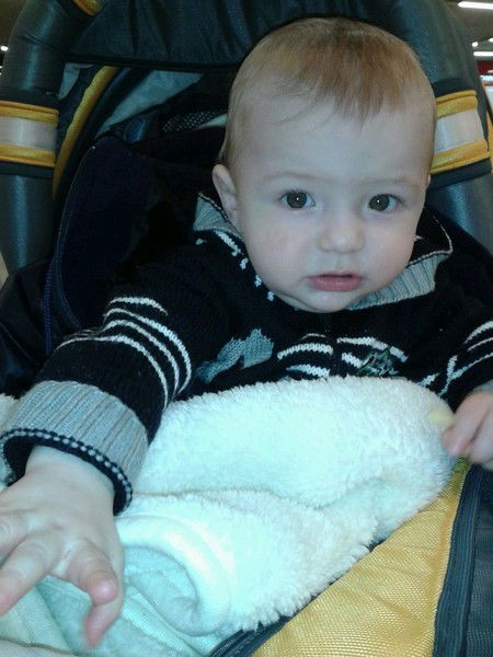 Василиса Тельпиз