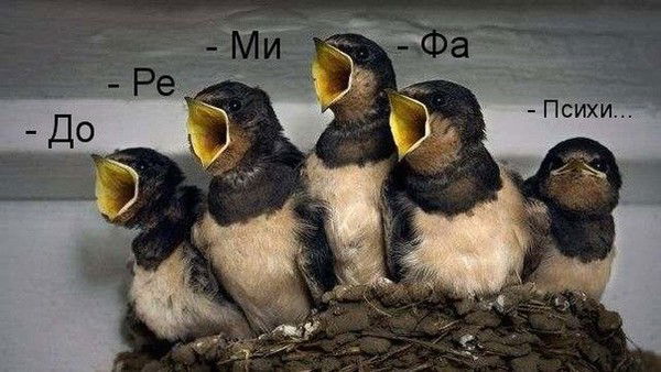 Анатолий Воронкин